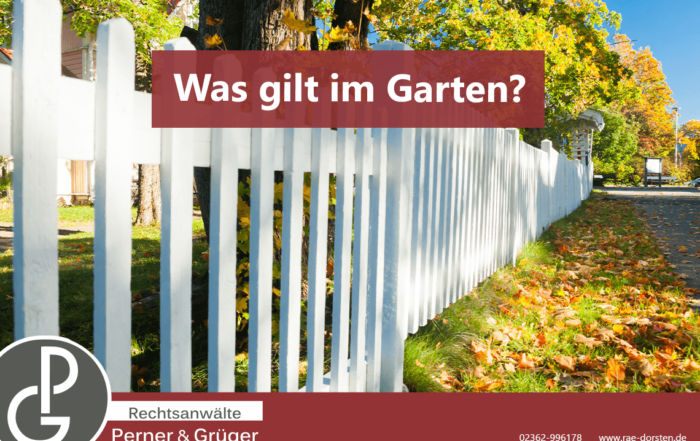 Der Baum im Garten - ein Grund für Nachbarschaftsstreitigkeiten